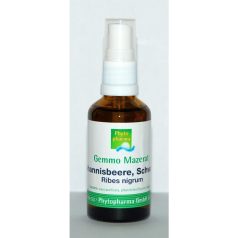 Feketeribizli rügy csepp spray 50 ml
