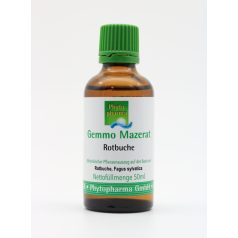 Gemmoterápia bükk Fagus sylvatica 50 ml