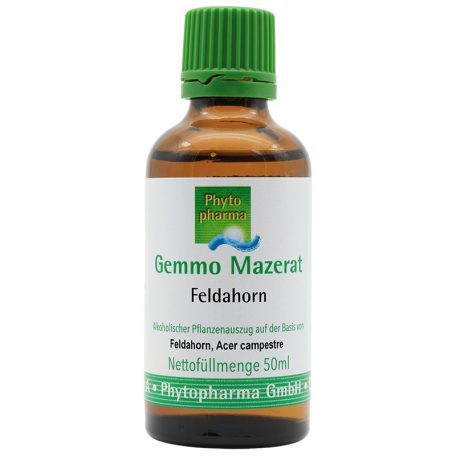 Gemmoterápia mezei juhar Acer campestre 50 ml ( előzetes rendelésre )