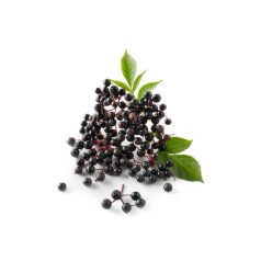 Bodza bogyó szirup bio 500 ml